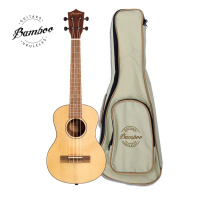 Bamboo BU-21 NT