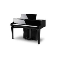 Kawai NV10S