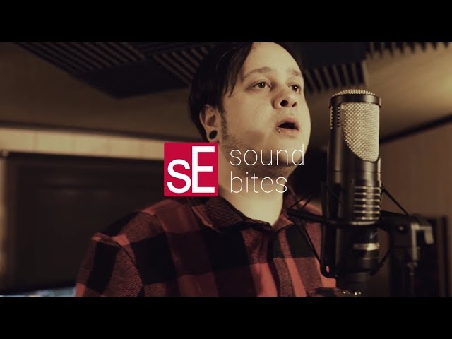 sE Electronics RNT по цене 199&nbsp;580 ₽