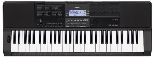 Casio CT-X800 по цене 33 100 ₽