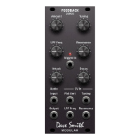 Dave Smith DSM03 Feedback Module