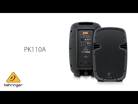 Behringer PK110 по цене 10 920 ₽