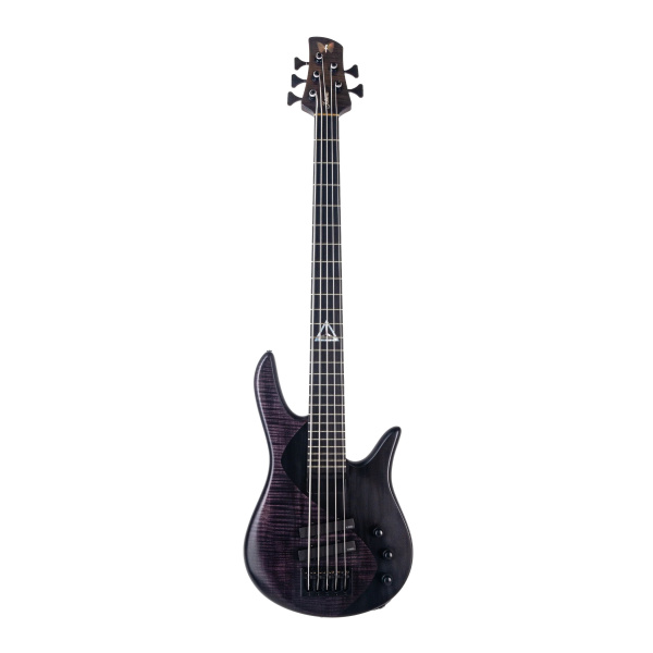 Spector Legend 5 Standard Black Stain по цене 74 860 ₽