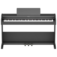 Roland RP107-BKX