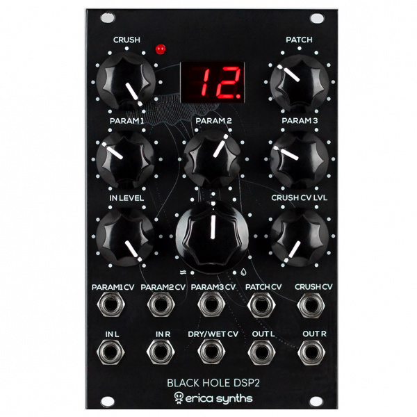 Erica Synths Black Hole DSP2 по цене 31 230 ₽