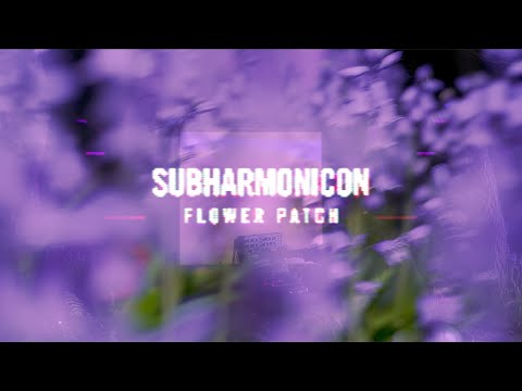 Moog Subharmonicon по цене 99 300 ₽