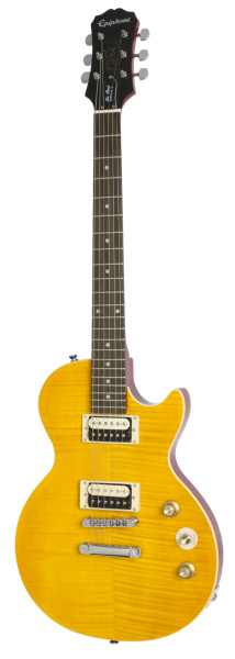 Epiphone Slash AFD Les Paul Special-2 Outfit по цене 50 600 ₽