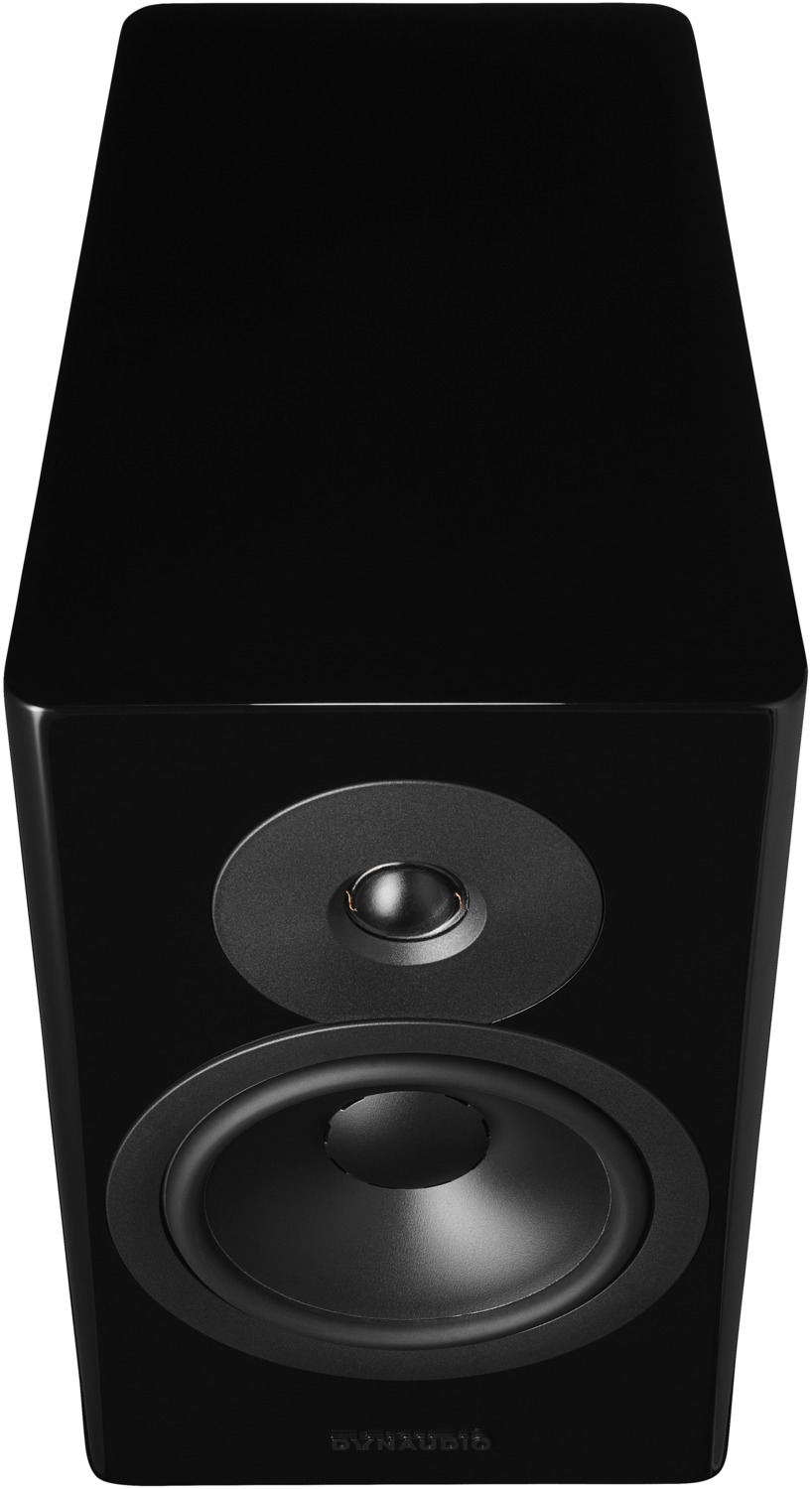 Dynaudio Evoke 20 Black High Gloss по цене 239 000.00 ₽