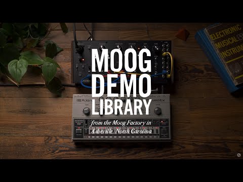 Moog Spectravox по цене 104 750 ₽