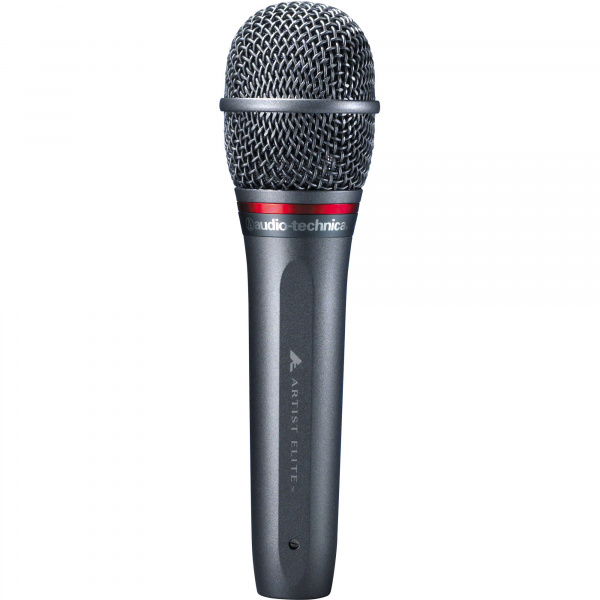 Audio-Technica AE6100 по цене 29 950 ₽