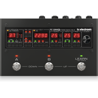 TC Electronic 2290 P Dynamic Digital Delay