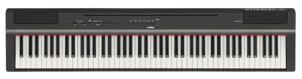Yamaha P-125B по цене 100 000 ₽
