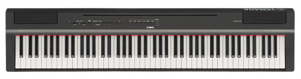 Yamaha P-125B по цене 99 990 ₽