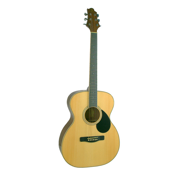 Greg Bennett GOM60/N по цене 16 150 ₽