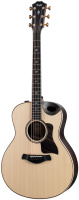 Taylor 816ce Builder’s Edition по цене 635 800 ₽