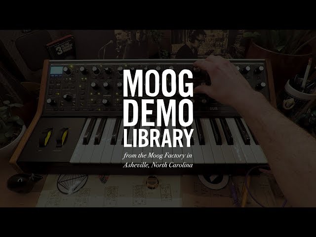 Moog Subsequent 37 по цене 226 380 ₽