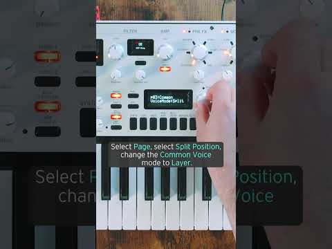 Korg KingKorg Neo по цене 120 000 ₽