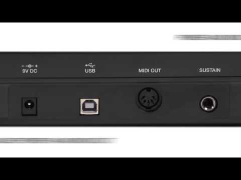 Alesis Q25 по цене 7 650 ₽
