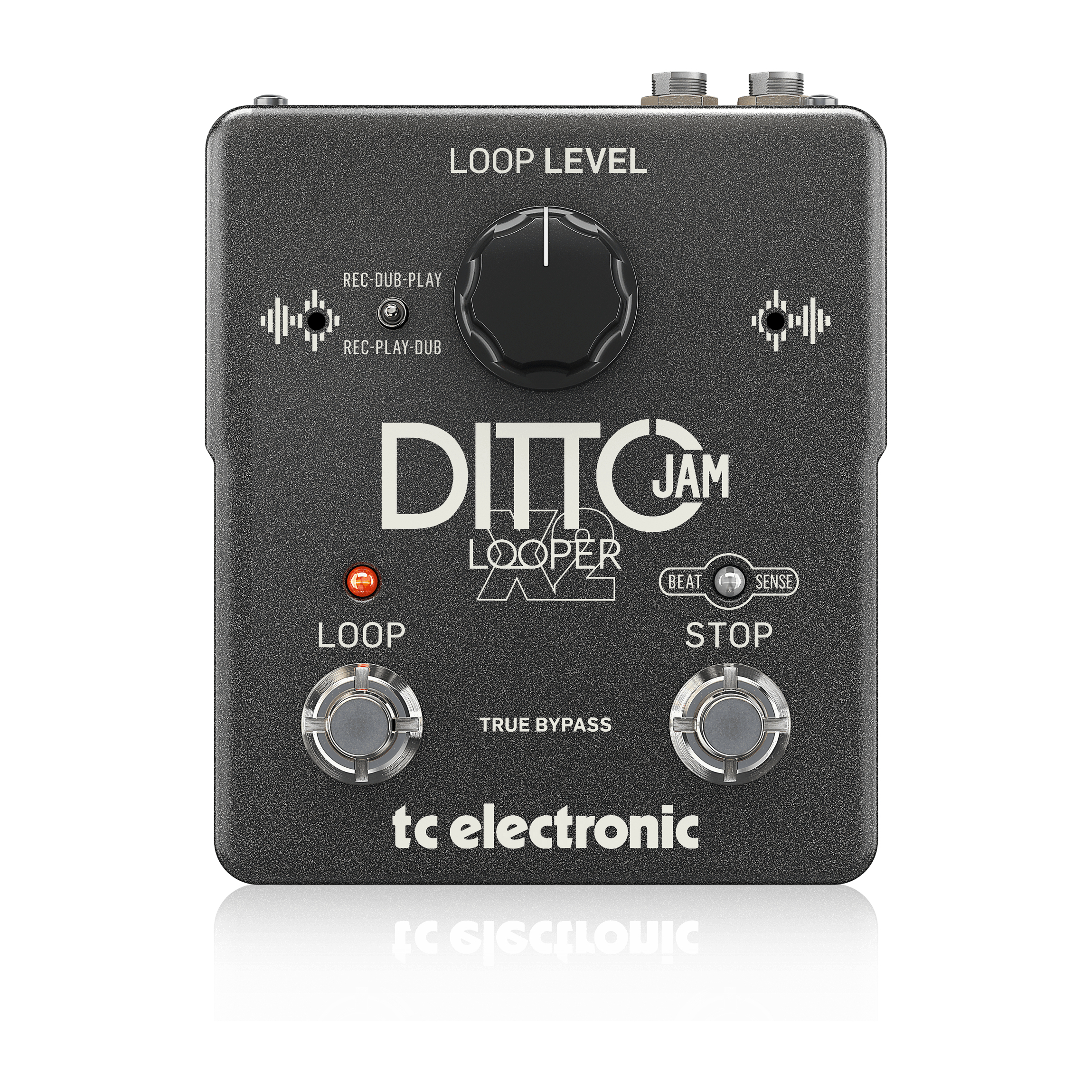 TC Electronic DITTO JAM X2 LOOPER по цене 36 500.00 ₽