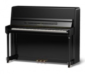 Samick JS118D/EBHP по цене 680 500 ₽