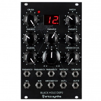 Erica Synths Black Hole DSP2 по цене 40 550 ₽
