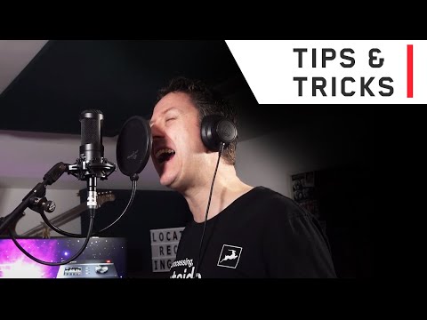 IGS Audio ZEN по цене 369 400 ₽
