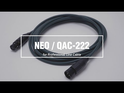 Zoom AC-2 по цене 21 500 ₽