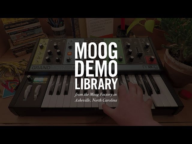 Moog Grandmother Dark по цене 100 000 ₽