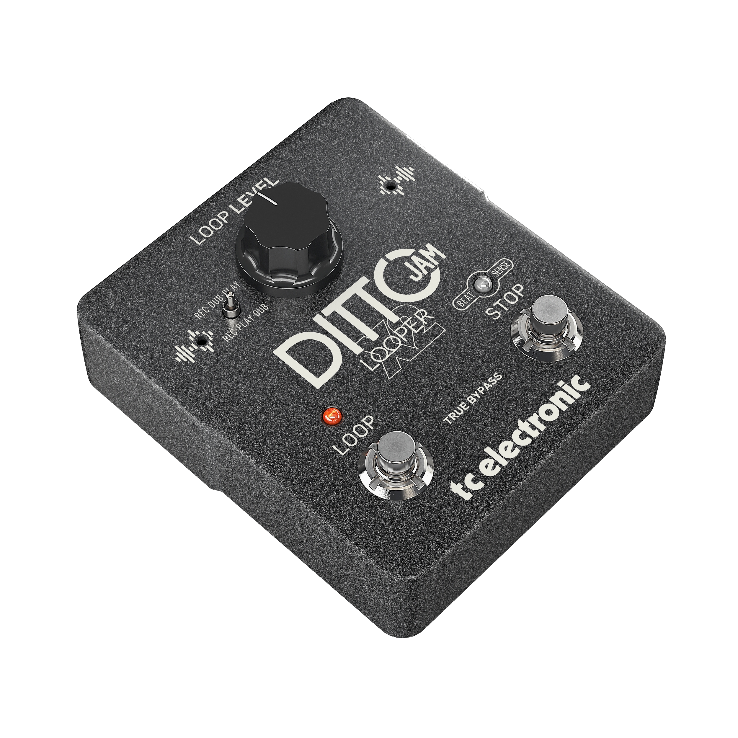 TC Electronic DITTO JAM X2 LOOPER по цене 36 500.00 ₽