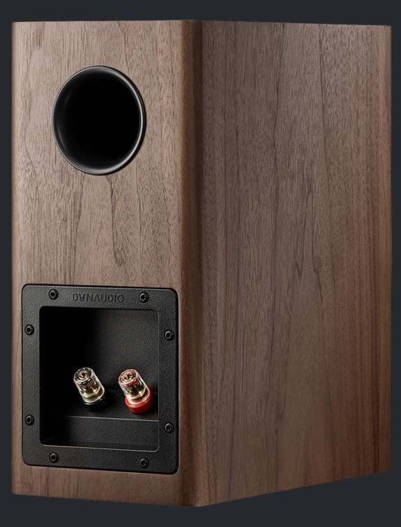 Dynaudio Evoke 10 Walnut Wood по цене 167 000 ₽