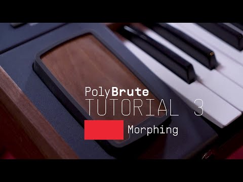 Arturia PolyBrute Noir по цене 312 550 ₽