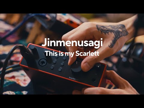 D'Addario NB1253 - Set Nickel Bronze Acoustic, Light, 12-53 по цене 1&nbsp;670.00 ₽