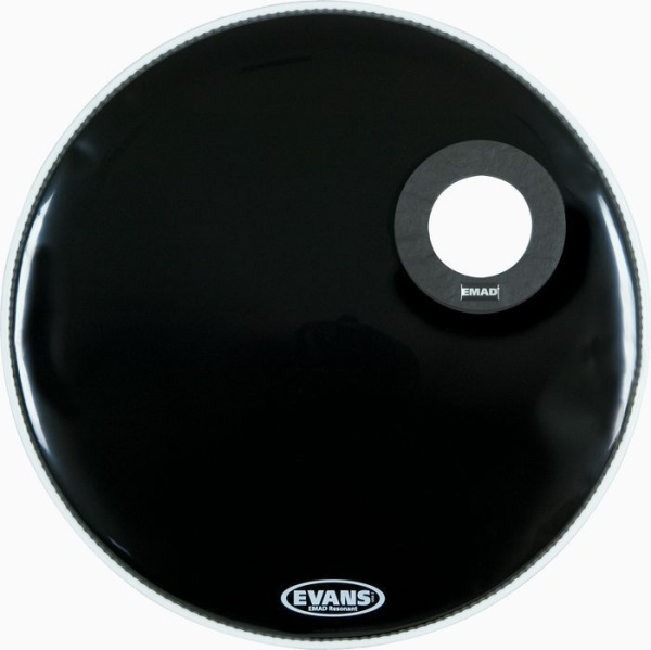 Evans BD20REMAD по цене 8 650 ₽