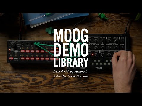 Moog Mavis по цене 38 250 ₽