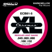 D'Addario ECB81-5