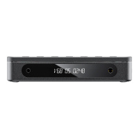 FIIO DM13 BT (F3491D) Black