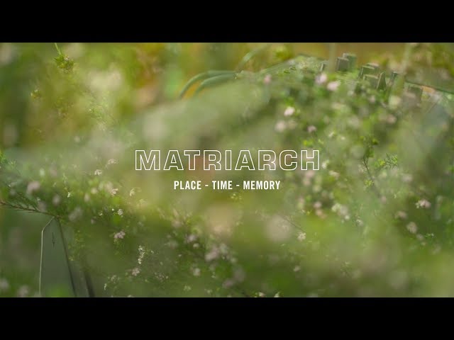 Moog Matriarch по цене 249 050 ₽