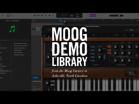 Moog Minimoog Model D по цене 852 800 ₽