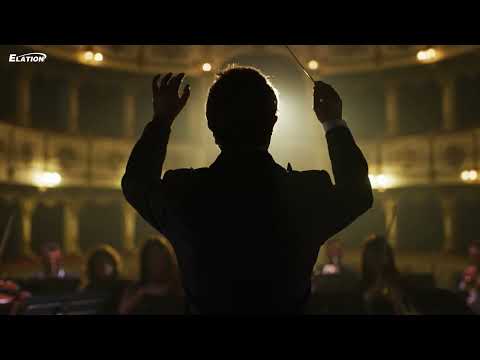 D'Addario NB1253 - Set Nickel Bronze Acoustic, Light, 12-53 по цене 1&nbsp;670.00 ₽