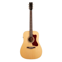 Norman B20 Natural GT QIT