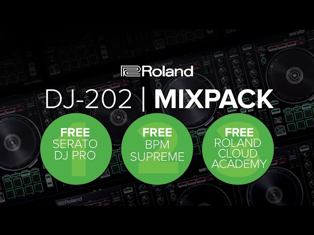 Roland DJ-202 по цене 49 500 ₽