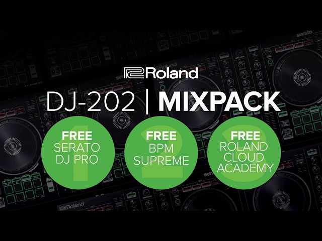 Roland DJ-202 по цене 51 500 ₽