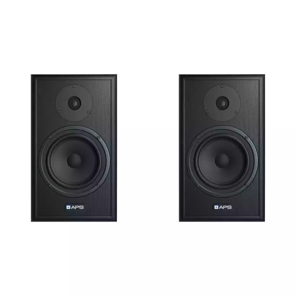 APS Klasik 2020 по цене 152 000 ₽