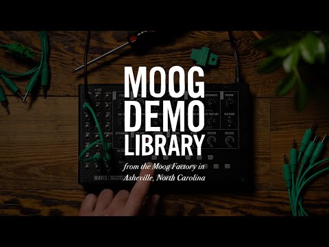 Moog Mavis по цене 38 250 ₽