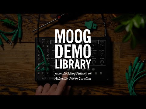 Moog Mavis по цене 32 680 ₽