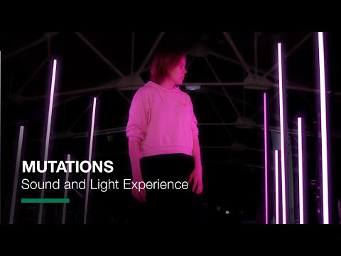 D'Addario NB1253 - Set Nickel Bronze Acoustic, Light, 12-53 по цене 1&nbsp;670.00 ₽