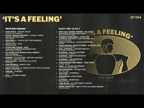 D'Addario NB1253 - Set Nickel Bronze Acoustic, Light, 12-53 по цене 1&nbsp;670.00 ₽