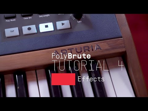 Arturia PolyBrute Noir по цене 312 550 ₽