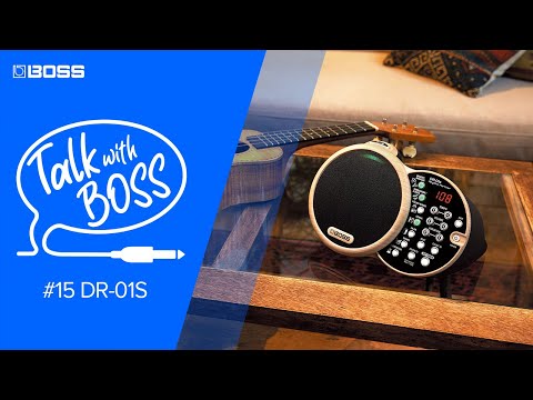 Boss DR-01S по цене 26 490 ₽