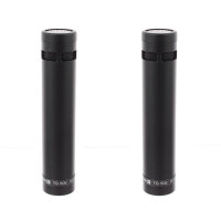 Beyerdynamic TG I53c Stereo-Set по цене 37 400 ₽
